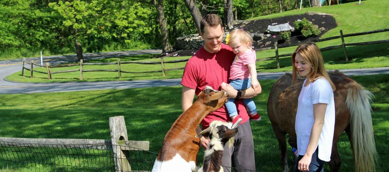 Rocky Acre Farm Bed & Breakfast Mount Joy Экстерьер фото